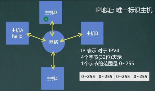 網(wǎng)絡(luò)編程基礎(chǔ)與信息安全軟件開發(fā)